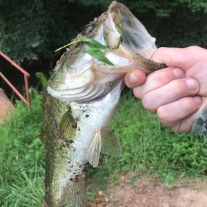 Meet your Posher, Branden